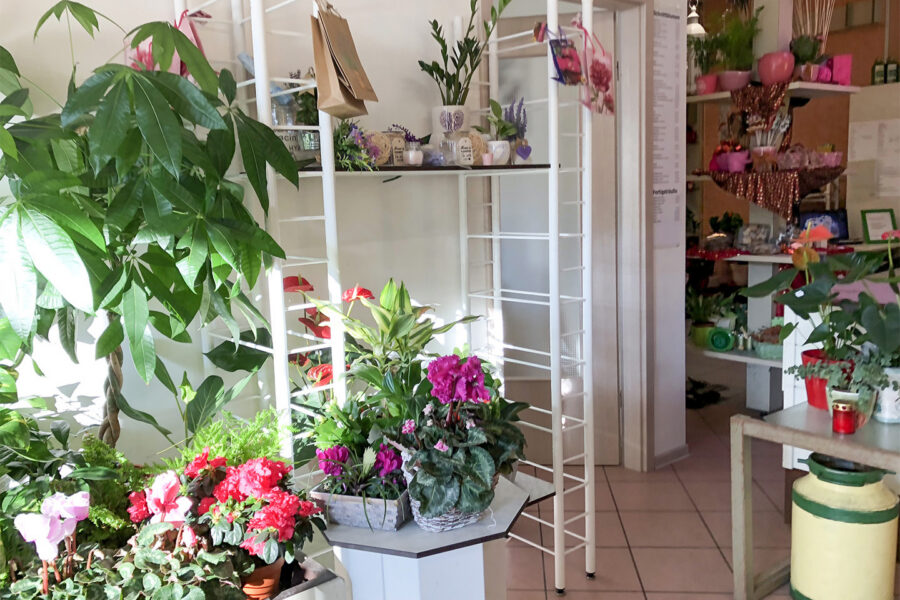 Innenansicht eines Blumenladens mit vielen bunten Blumen, grünen Pflanzen und Regalen mit Dekorationen.