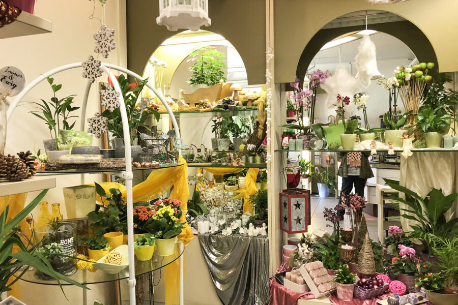 Innenansicht eines Blumenladens mit vielen bunten Blumen, grünen Pflanzen und Regalen mit Dekorationen.