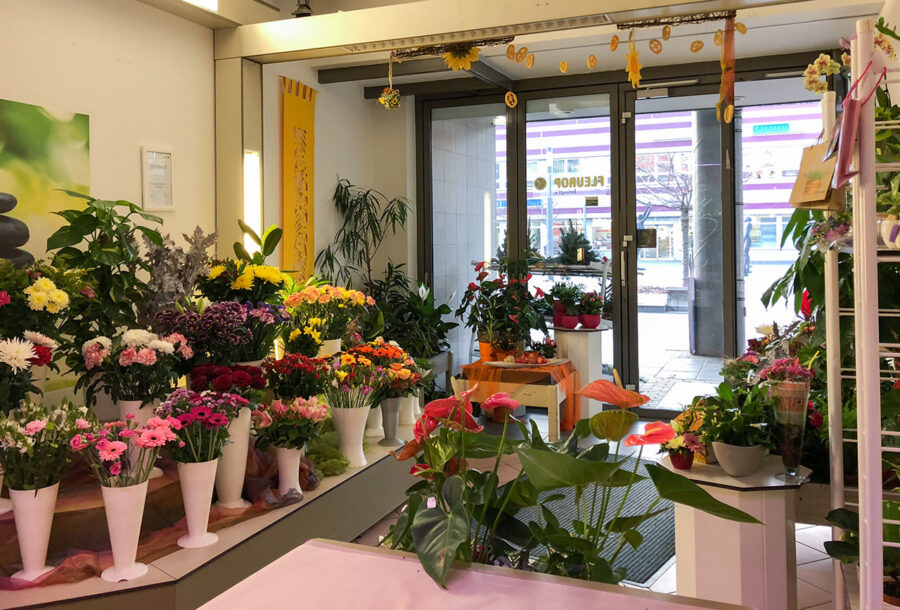 Innenansicht eines Blumenladens mit vielen bunten Blumen, grünen Pflanzen und Regalen mit Dekorationen.