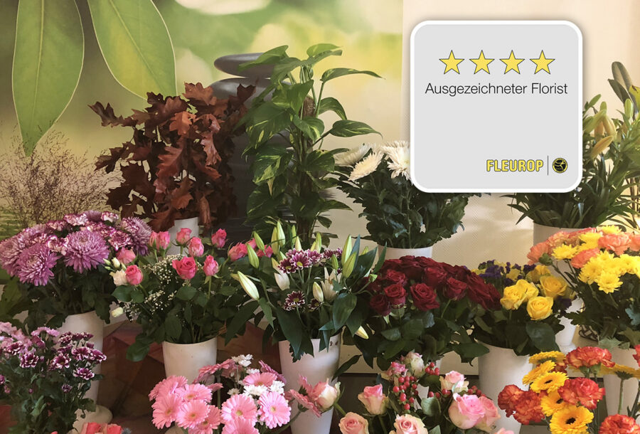 Innenansicht eines Blumenladens mit vielen bunten Blumen, grünen Pflanzen und Regalen mit Dekorationen.